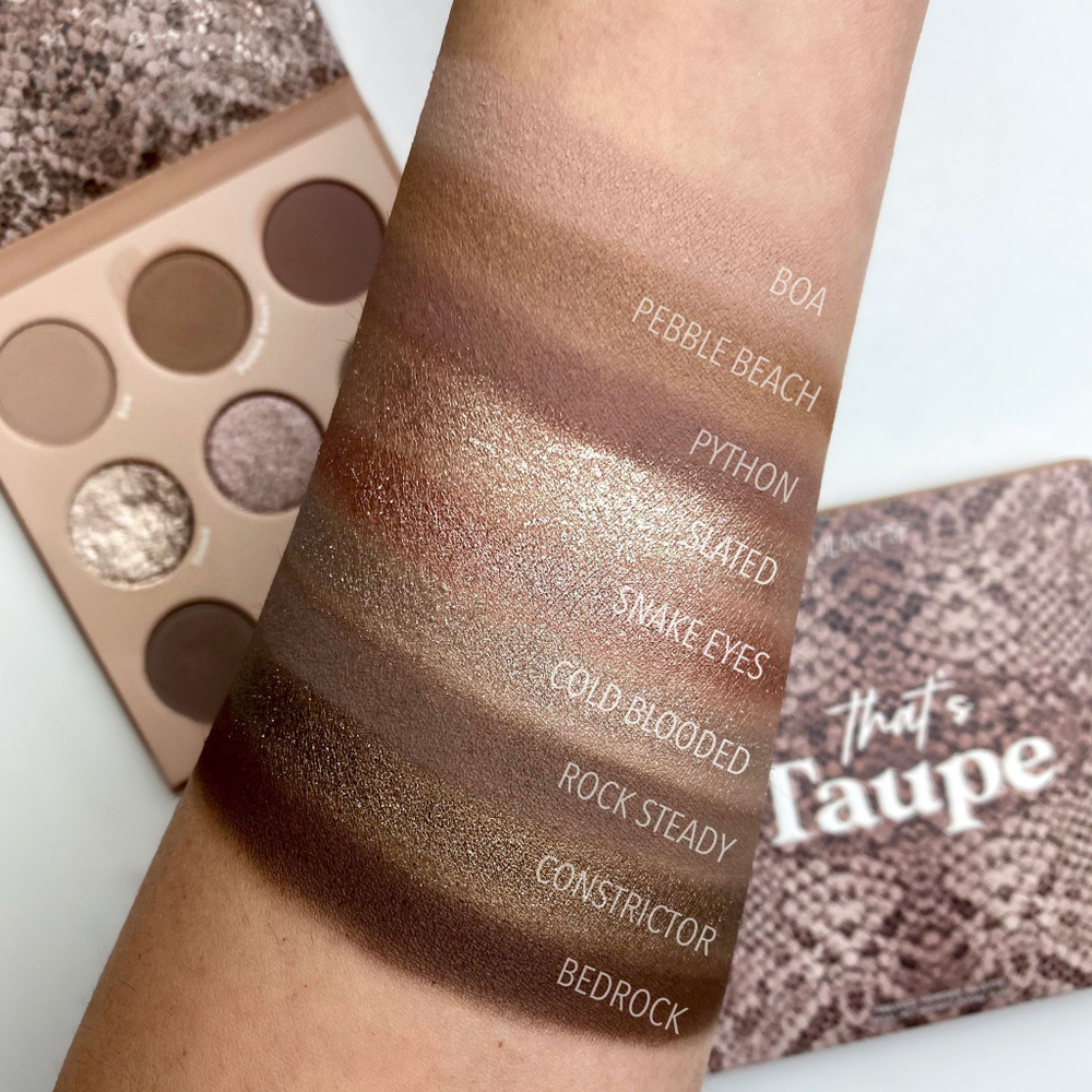 ColourPop That's Taupe palette