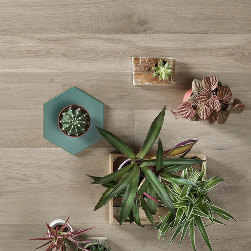 Инженерный паркет Coswick Дуб Серое Дерево (Grey Wood) Шелковое масло ультраматовое