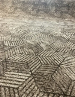 Напольное покрытие ковролин на пол в зал метражом/ковер/палас/