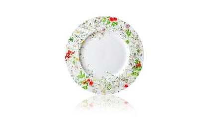Тарелка для закусок с бортом 23см Rosenthal Дикие цветы