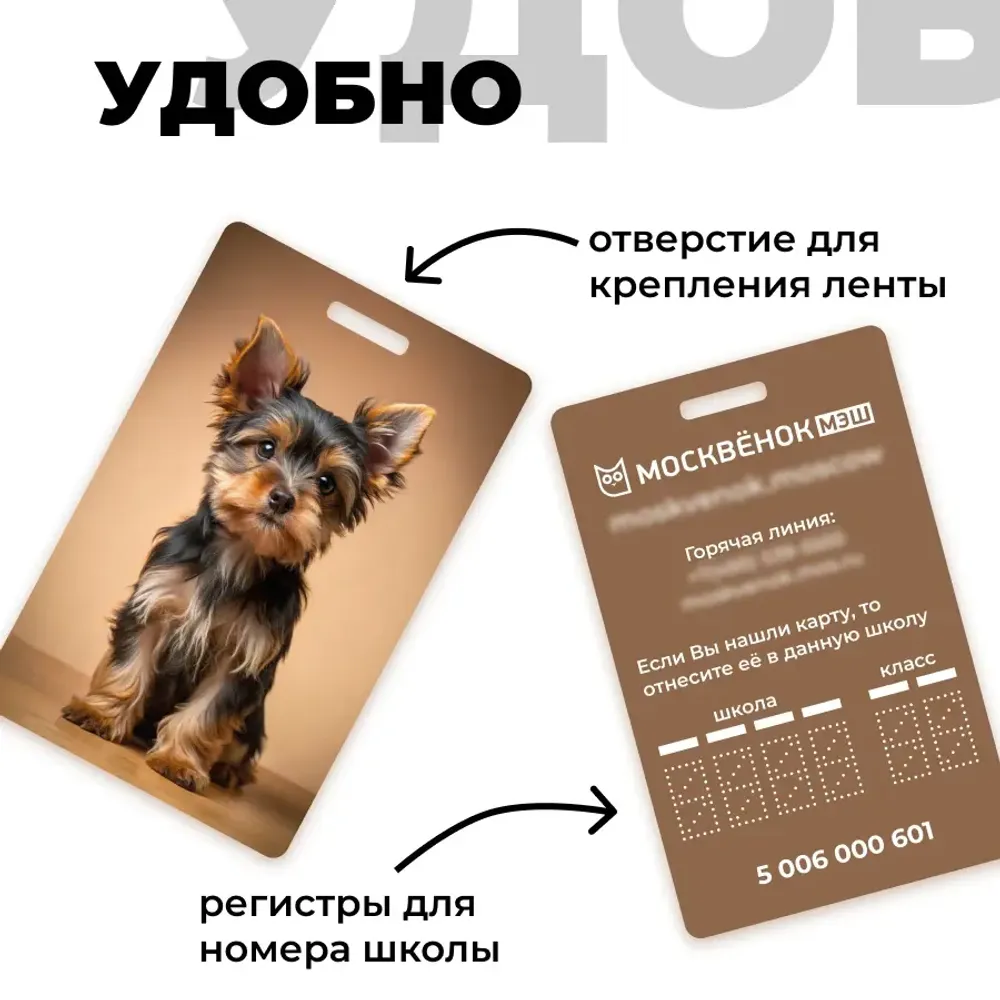 Карта Москвёнок DOGS №15 (проход + питание)