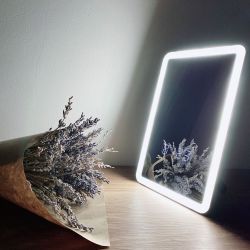 TLD-591 White-LED-80Lm-6000K-Dimmer Настольный светильник зеркало. 4W. Встроенный аккумулятор 3.7V-600mAh. Сенсорный выключатель. Диммер. Белый. ТМ Uniel