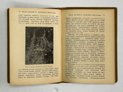 Мигула В. Биология растений. В 2-х томах. Рига, Наука и жизнь, 1915 г.