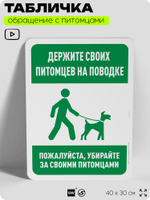 Табличка "Держите своих питомцев на поводке" на дверь и забор, для двора, дома, подъезда, 40х30 см, Silver Plane x Айдентика Технолоджи
