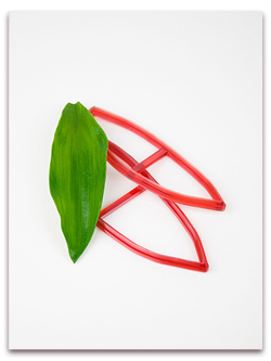 Лист тюльпана. Набор 2