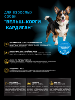Корм для взрослых собак породы Вельш-корги кардиган, с лососем, 12 кг, QUATTRO
