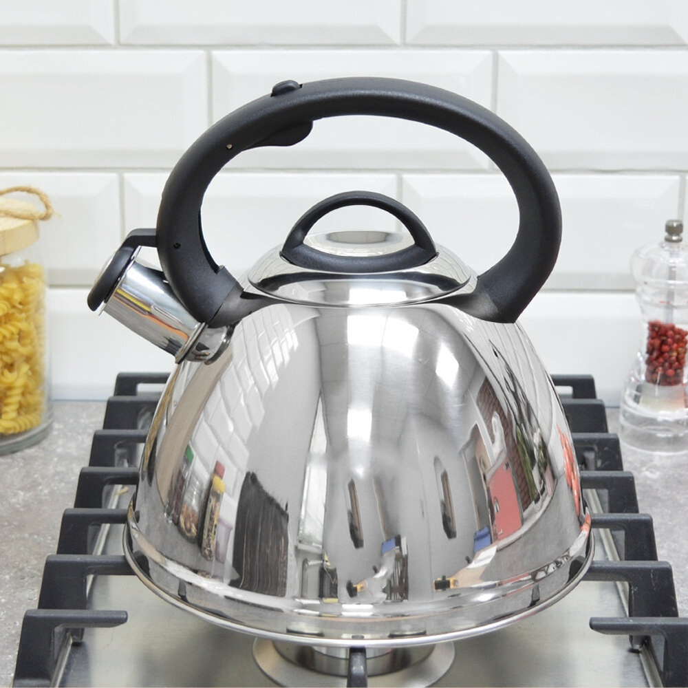 Чайник 3л нерж со свистком Z-4497