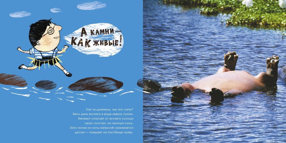 Необыкновенные приключения Пети в Африке