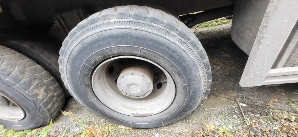 Shacman (Shaanxi) SX* 8x4 Самосвал SX33186V366 (Дизельный, 11,6 л, 440 л.с., МТ)