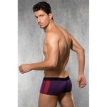 Мужские хипсы фиолетовые Doreanse 1912