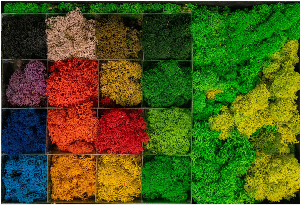 Круглое панно из стабилизированного мха с подсветкой в деревянной раме, диаметр 60см