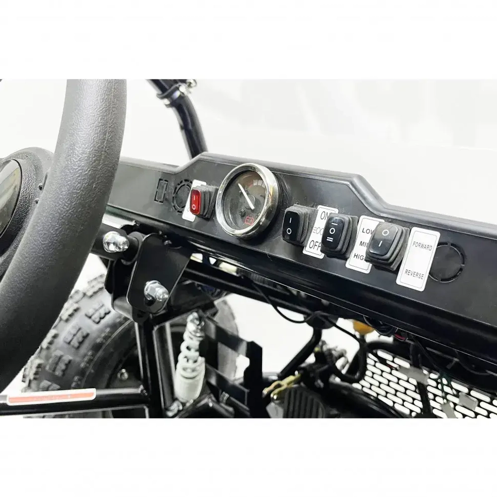 Багги Green Camel Намиб T10 (60V 2000W R8 Дифф)