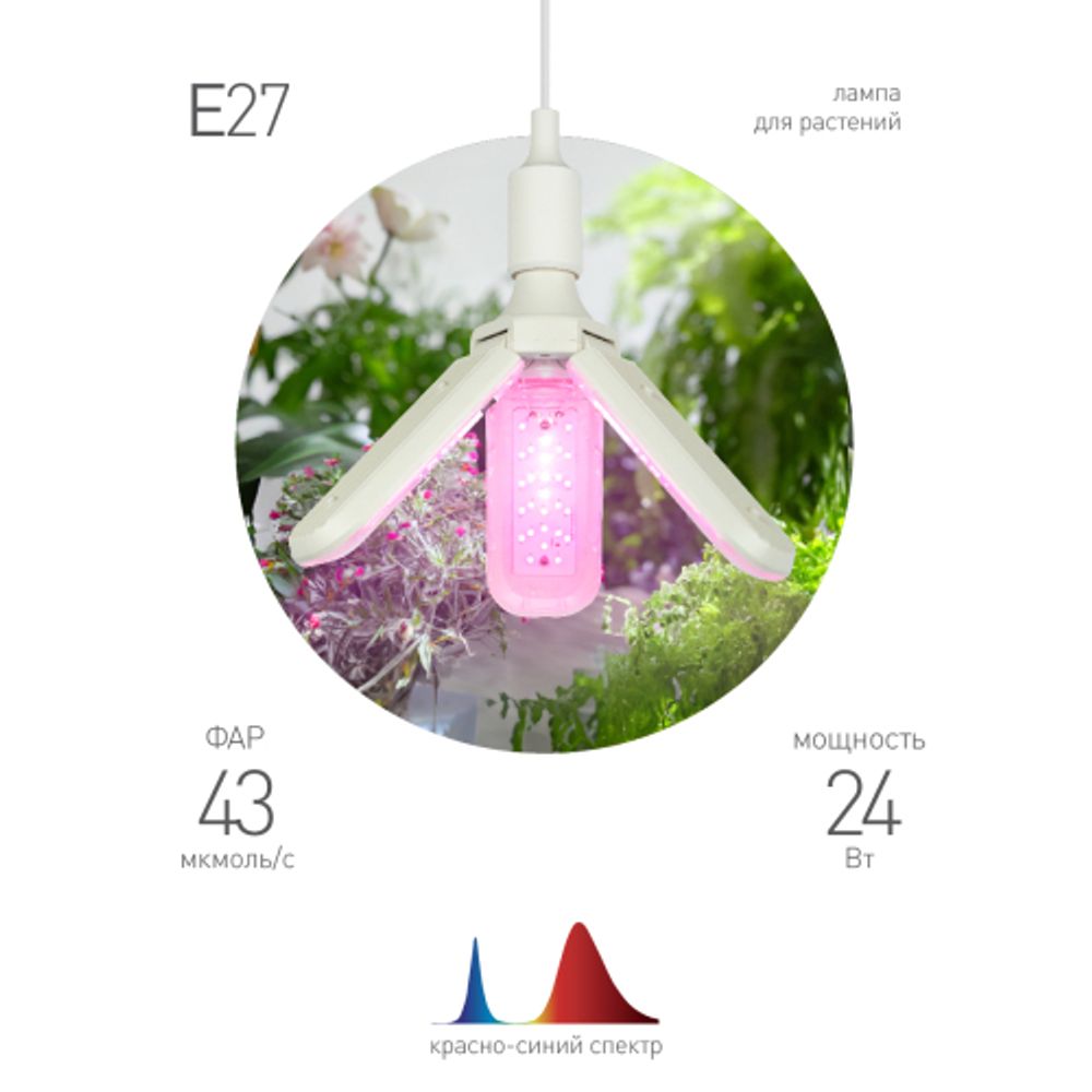 Фитолампа для растений светодиодная ЭРА FITO-24W-RB-E27-FOLD 3-х лепестковая красно-синего спектра 24 Вт Е27 | Фитолампы Е27