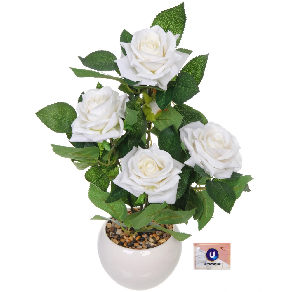 Цветочная композиция «Розовый куст» 42см в горшке, цвет белый