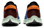 Кроссовки Nike Pegasus Trail 2 Zoom Gore-Tex