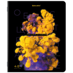 Тетради предметные комплект 12 ПРЕДМЕТОВ 48 л. глянцевый УФ-лак BRAUBERG "PIGMENT" (2 штуки в упаковке)