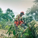 Бензопила Husqvarna Rancher 455, 9705499-15
