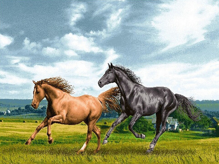 Гобеленовая картина "D. ВОЛЬНАЯ ВОЛЯ" в багетной раме, Россия.