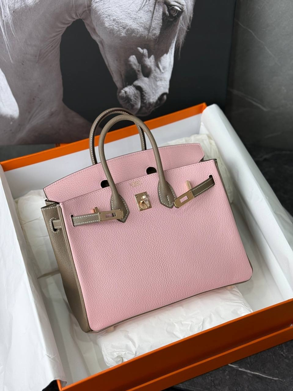 Сумка Hermes Birkin