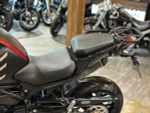 QJMOTOR SRT 800 S