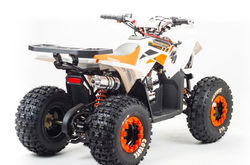 Квадроцикл MOTOLAND (МОТОЛЕНД) 125 COYOTE