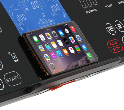 Беговая дорожка Mario Ferri Laverino