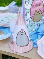Cat Pusheen Party