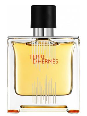 Hermes Terre d' Flacon H 2021 Parfum