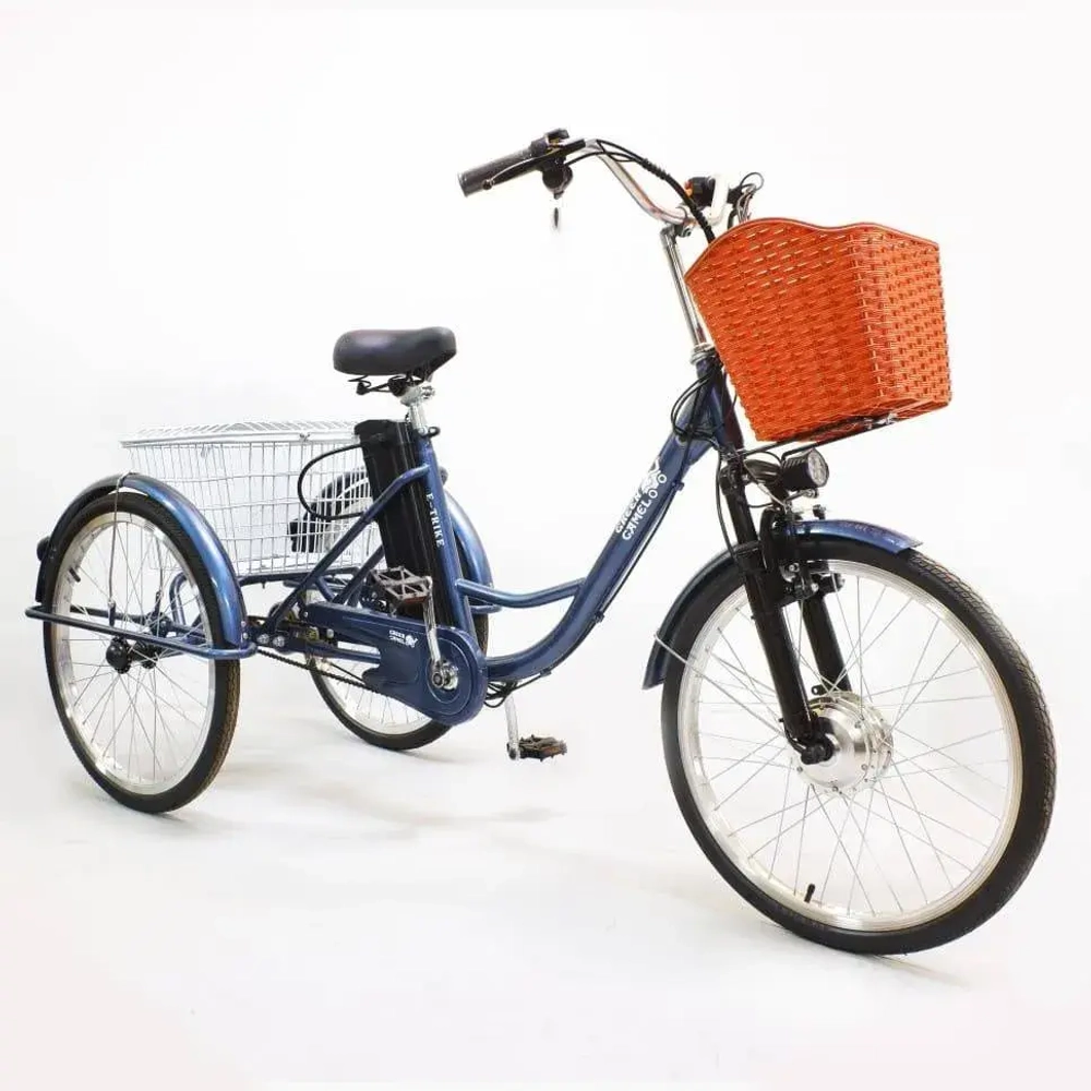 Электровелосипед Green Camel Трайк-24