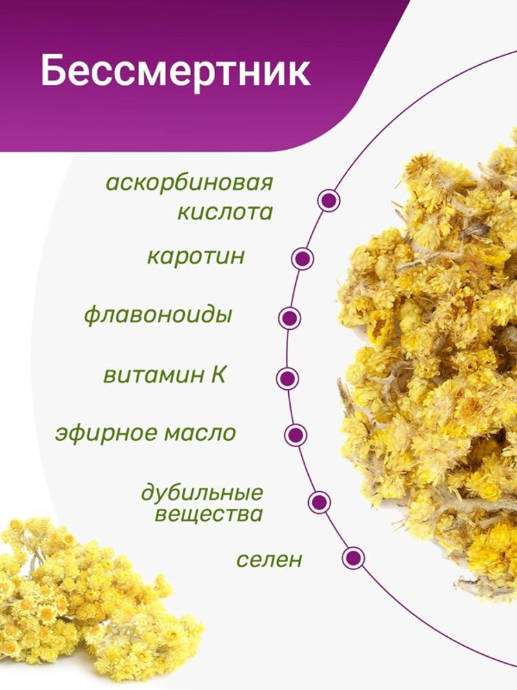 Бессмертник песчаный