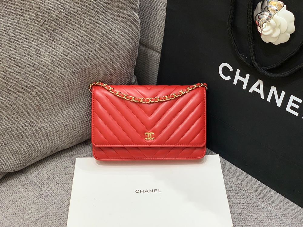 Chane1 WOC 19 cm