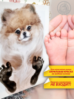 Метрика ножек "Собачка"