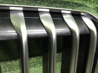 Решетка радиатора BMW X7 G07 (2019-2022)