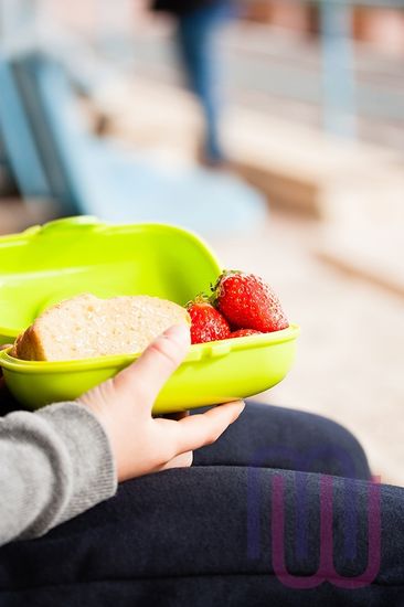 Ланч-бокс MB Gram киви