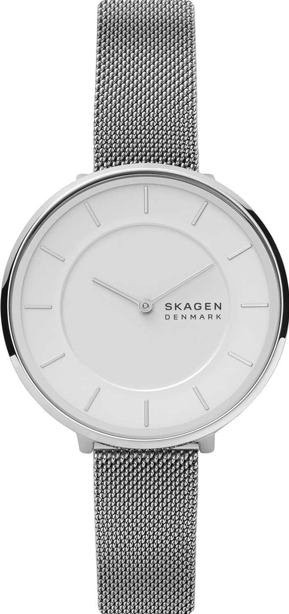 Мужские наручные часы Skagen SKW3016