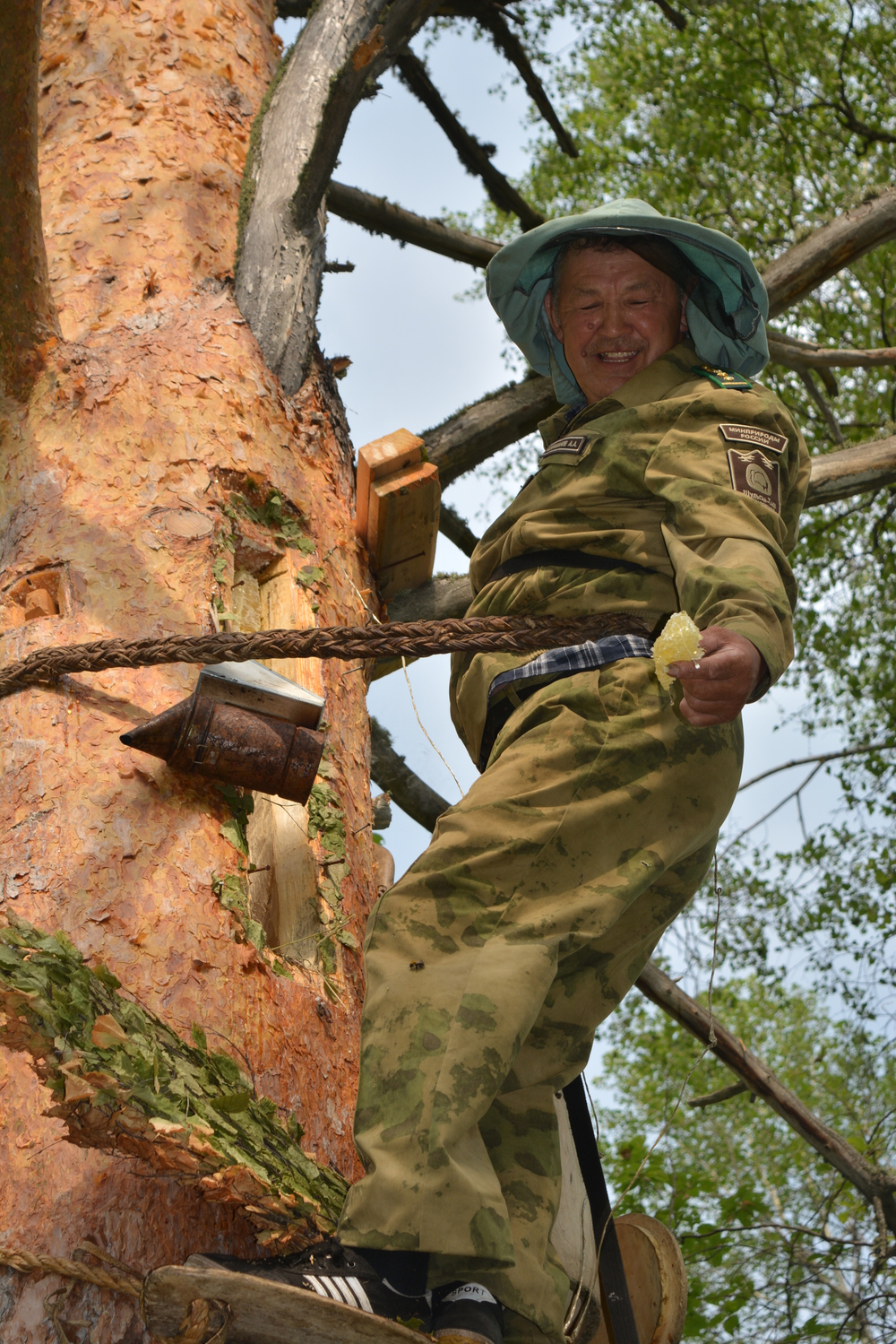 Бортевой (Дикий) мёд