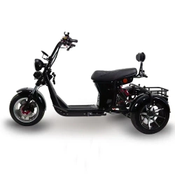 Электроскутер SKYBOARD CITYCOCO MyRussia BR60 3000W с корзиной