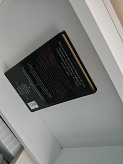 До рассвета. Недолгая вторая жизнь Бри Таннер