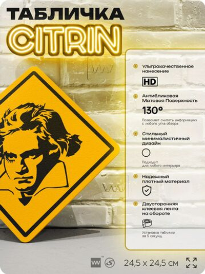 Табличка декоративная "Людвиг ван Бетховен" на дверь и стену, прикольная штука в подарок, декоративный знак, 24,5х24,5 см, пластиковая, Айдентика Технолоджи