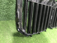 Решетка радиатора BMW X7 G07 (2019-2022)