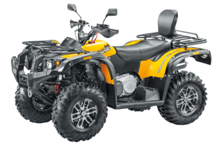 Квадроцикл СТЕЛС ATV 650 YL Leopard EFI (ПСМ)