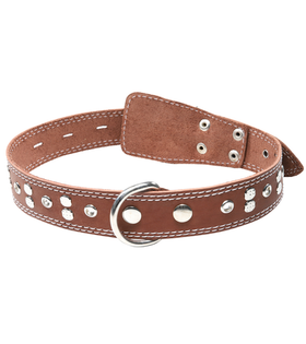 Ошейник c украшением кожаный, 36*720мм, Gamma