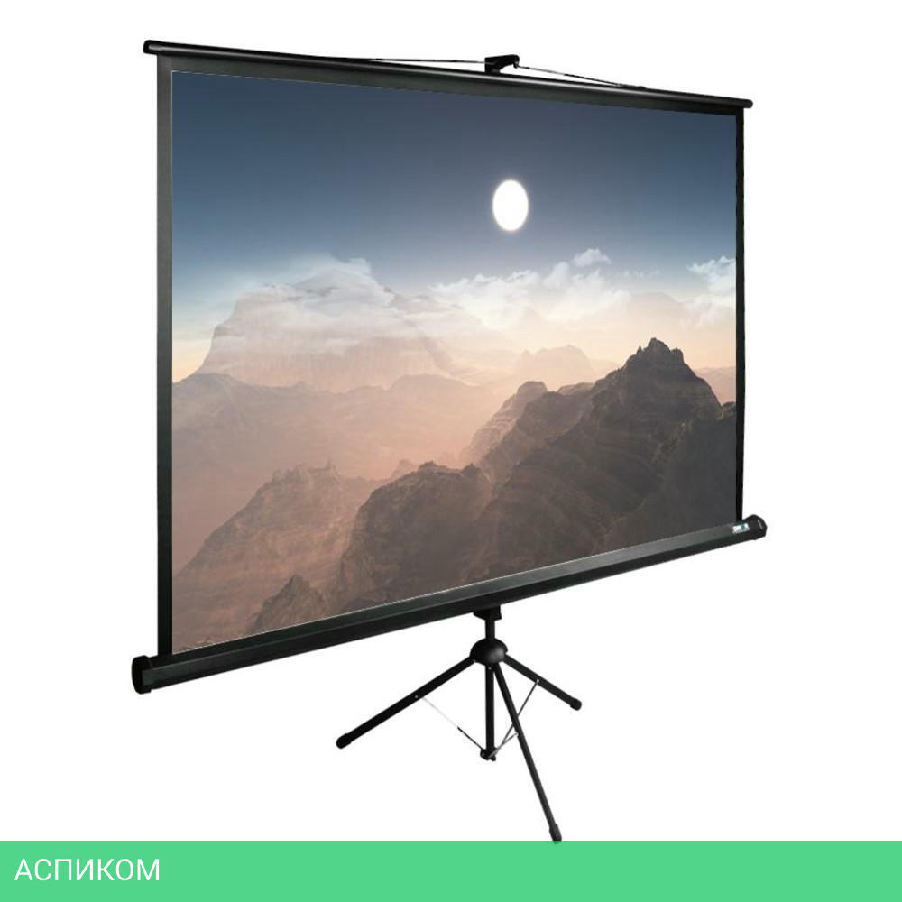 Проекционный экран Cactus TriExpert (CS-PSTE-180x180-BK)