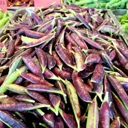Снежный Пурпурный Императорский Горох - Snow Purple Imperial Peas
