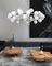 Подвесная люстра Lumina Deco Marsiada LDP 6033-40 CHR
