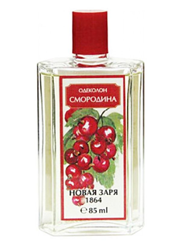 Nouvelle Etoile – Новая Заря Smorodina Смородина