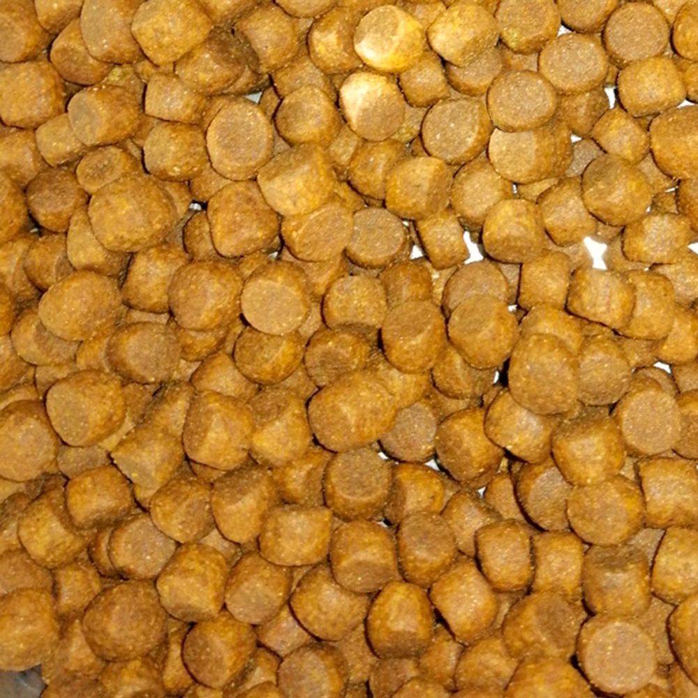 Уценка! Повр.упак./ Сухой корм ProBalance Immuno Adult Small&Medium для взрослых собак малых и средних пород