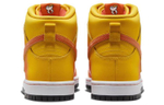 Кроссовки Nike Dunk Sb "Sweet Tooth"