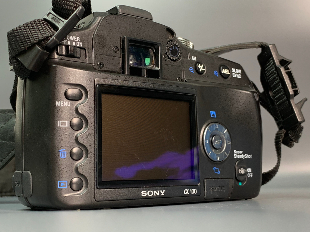 Sony A100