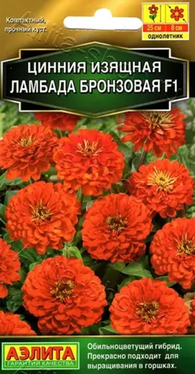 Цинния Ламбада F1 бронзовая 12шт (Аэлита)